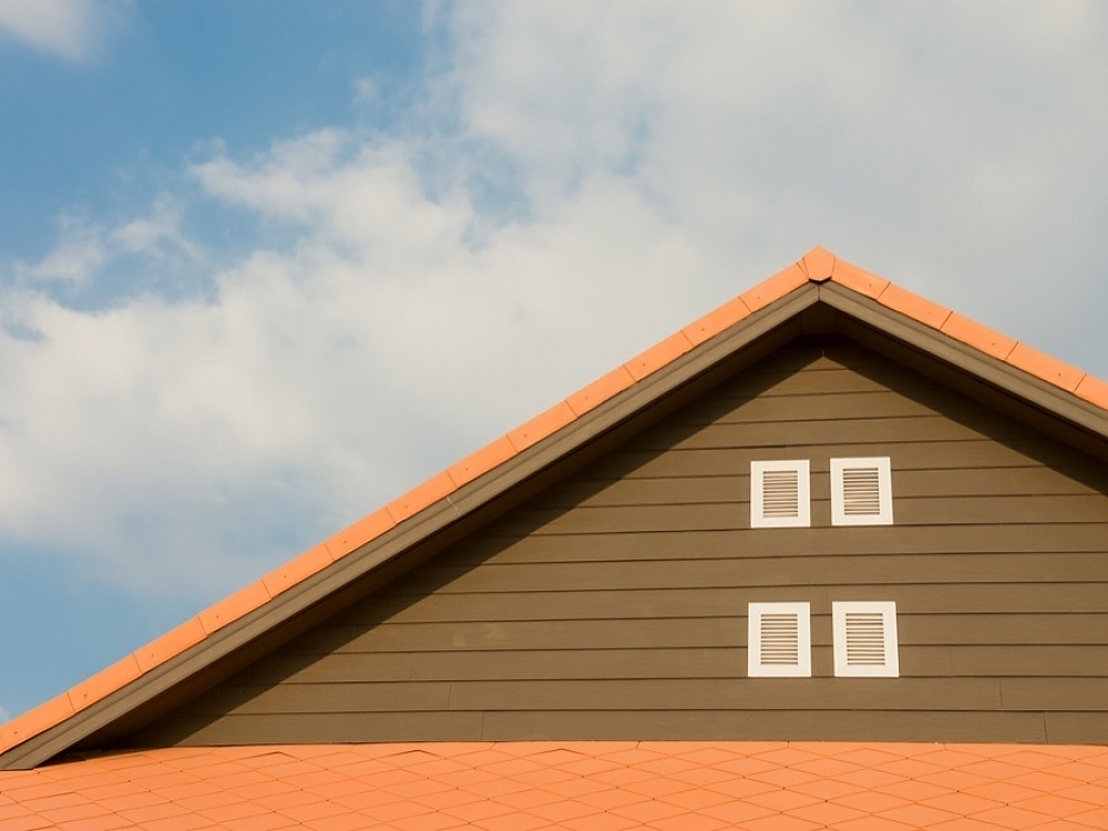 What to Do When You Hear Scratching Noises in Your Attic