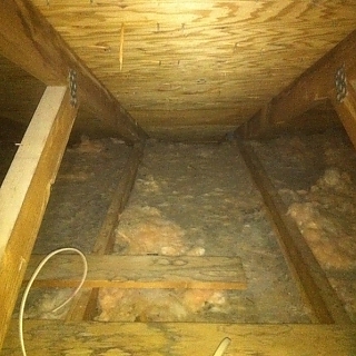 Attic Clean Up & Restoration