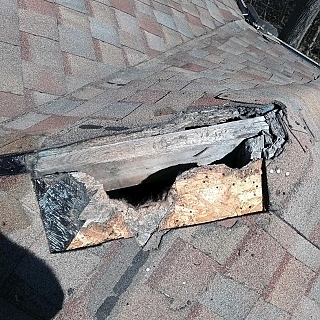 Roof Repair After Raccoons Removed